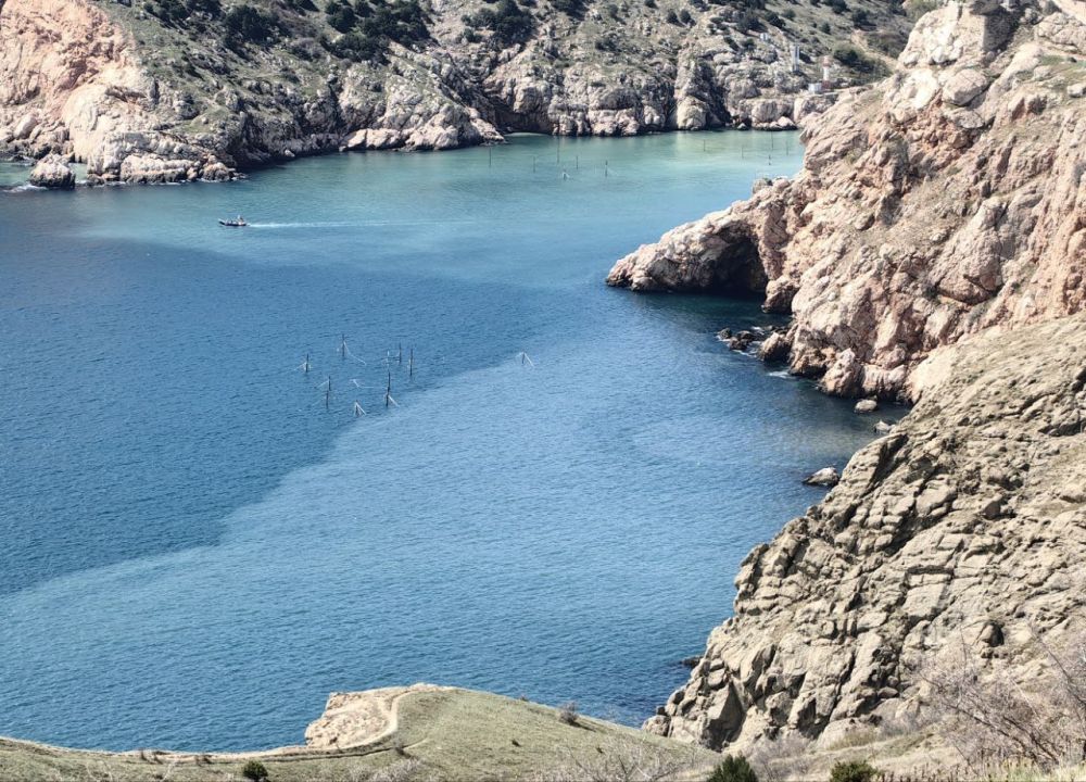 #���_�����. ���������� ��������� � �������: ��������������� ������������ ����������� � ����������� ���������� ���� � �����