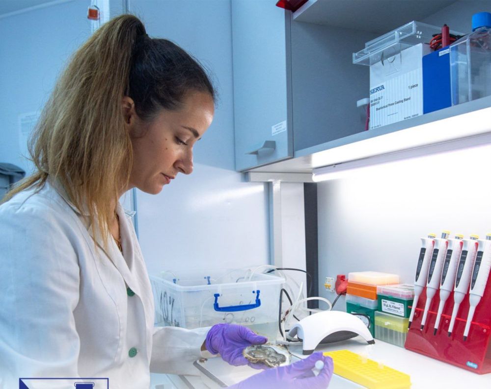 � ����������� ���������� ������ ����� ��������� ��� ������� ������