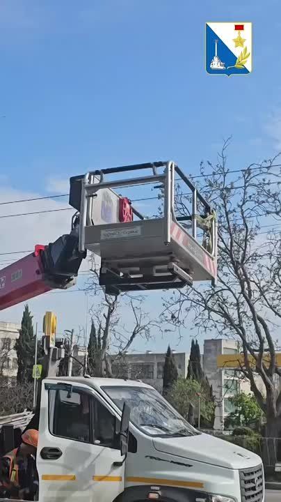 ����������� ���������� �������� �� ��� ������