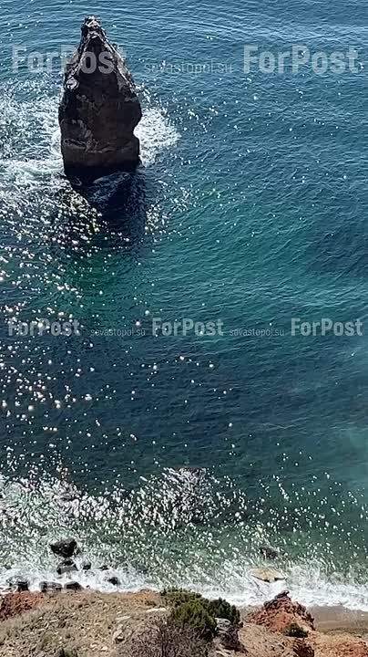 ������� ������ ������ ����������� � �����������