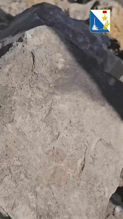 � ���������������� ������� ������� ����������� ������ ��������� �����