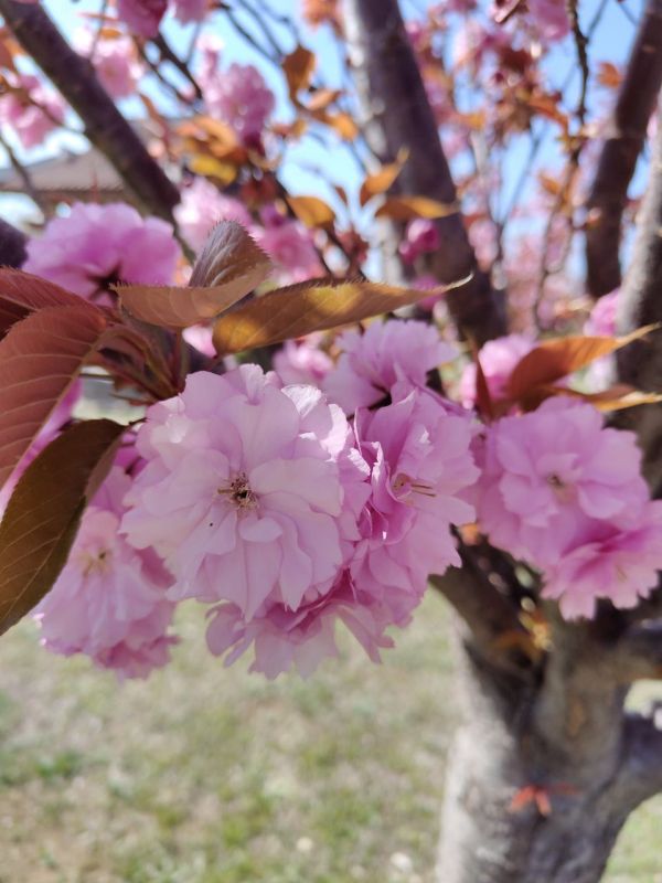 ������� ������ ������. � ����������� � ����������� ��� �������