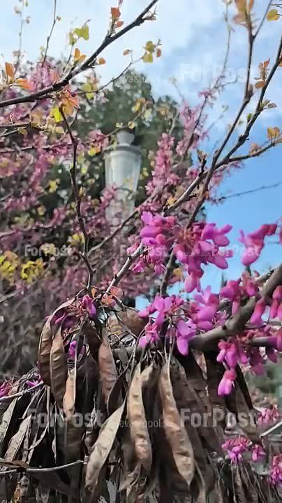 ��������� ����������� ��� � �����