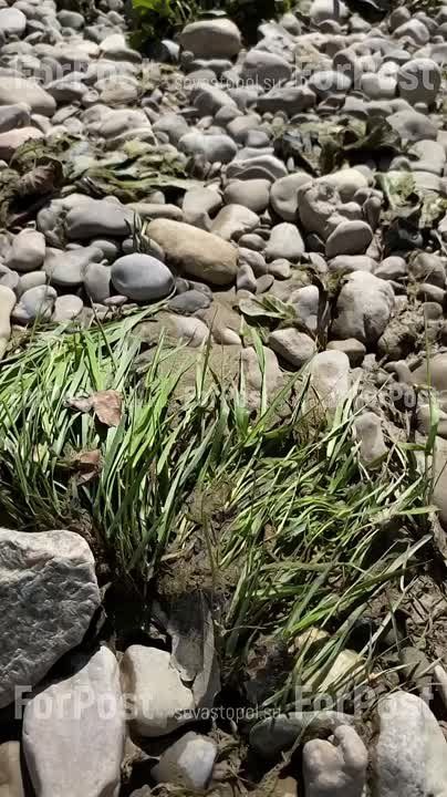 #���_�����. ������� ������ ������� ��� ������� �����������