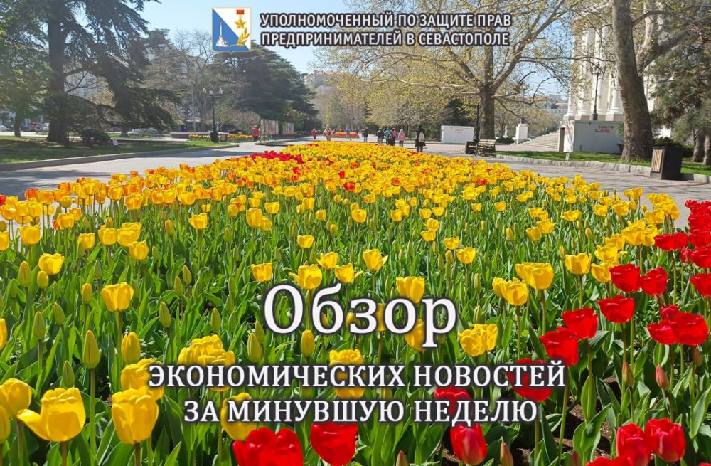 ���� �����������: ������� �������������� �������� ������ ������ ����������: