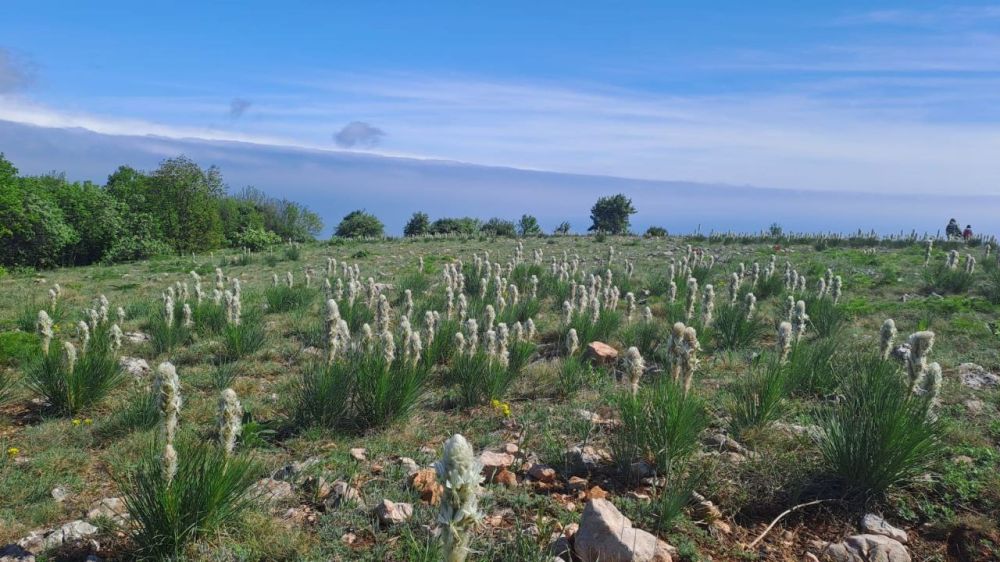 ������� ���� �������� ���������� � ��� ������ ��������, ����������� � ������� �����