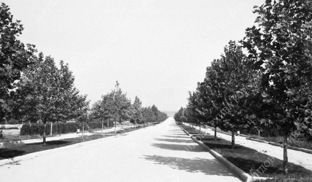 ����������� ����� ����� ������ � ��������� �.�. ��������� � 1980 ����