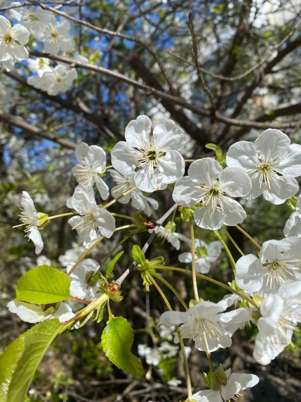 #��� �� ��������?. ���� ������ ���������� �� ������ ������, ��� ������