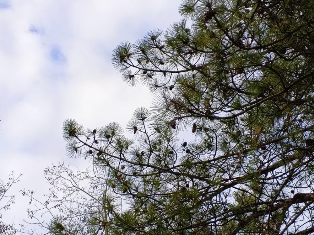 ������� ������ � ����� �� 21 ������