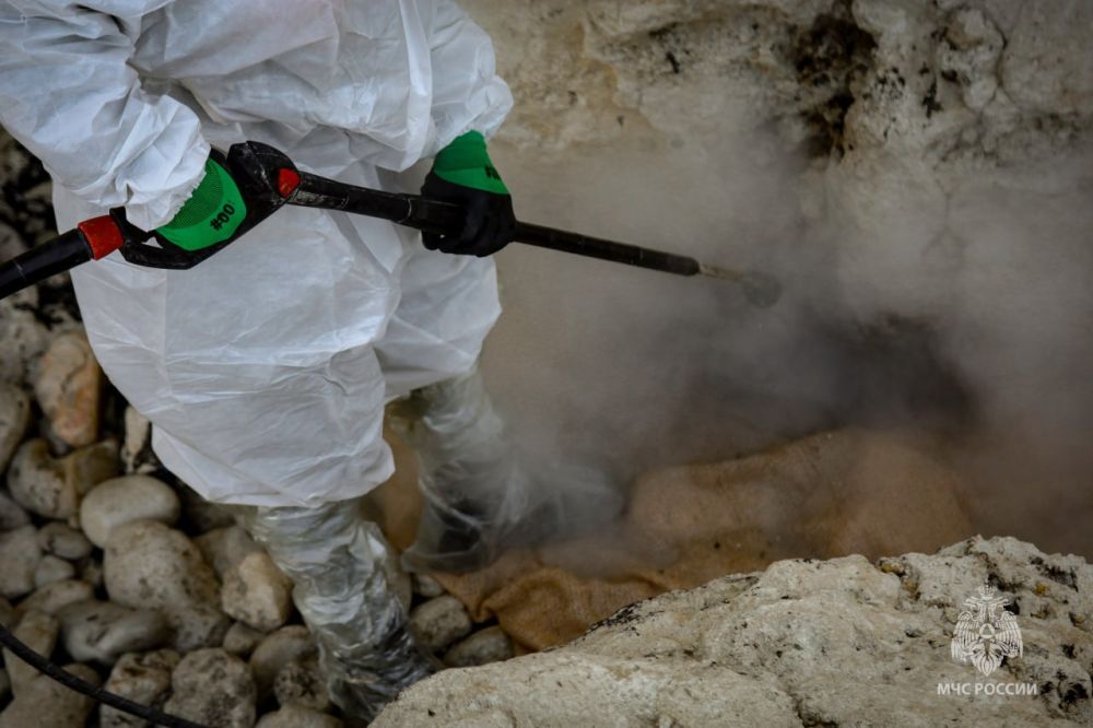 ��� ������� ������ ����������� �����