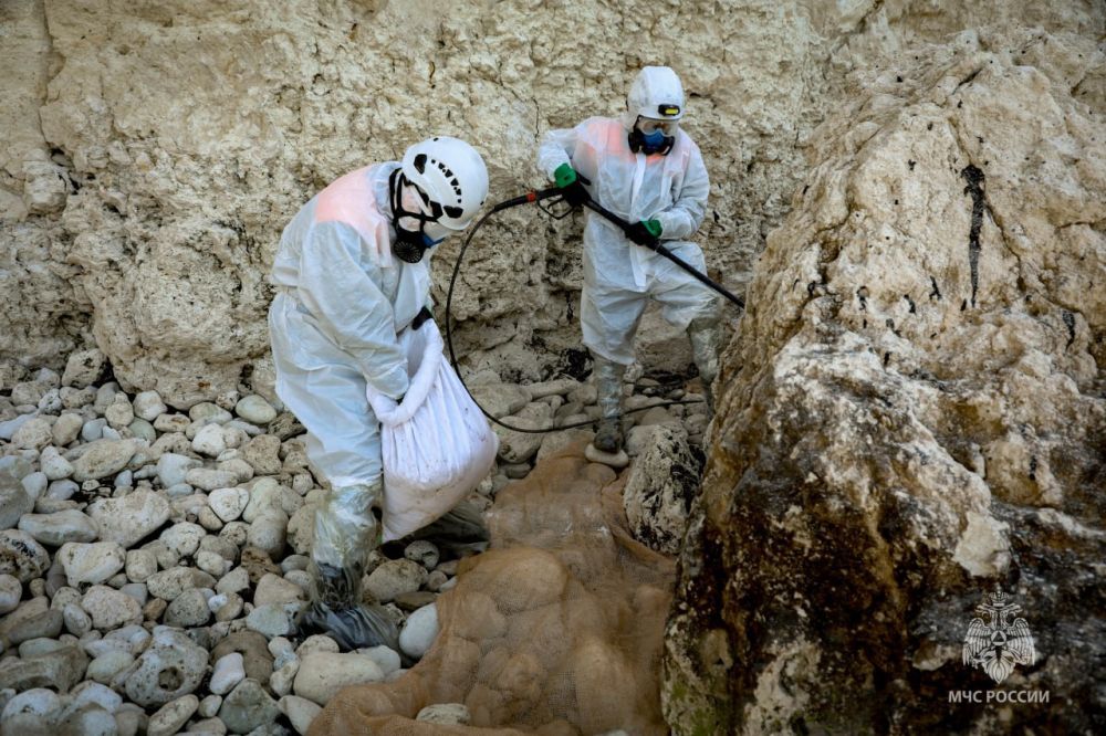 ��� ������� ������ ����������� �����