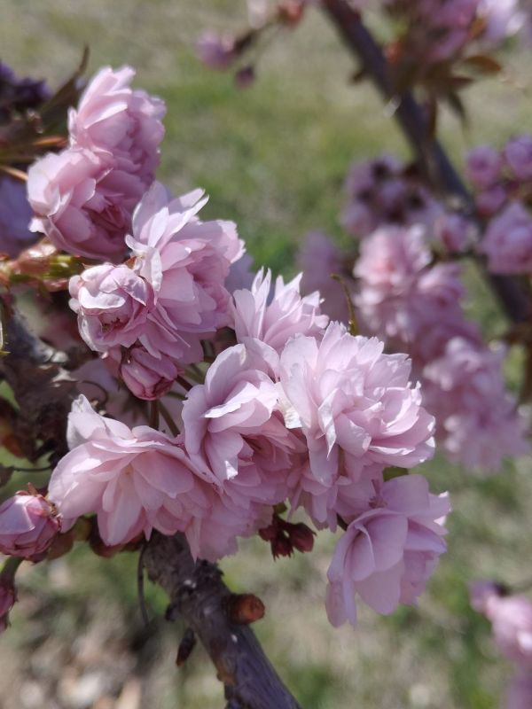 ������� ������ ������. � ����������� � ����������� ��� �������