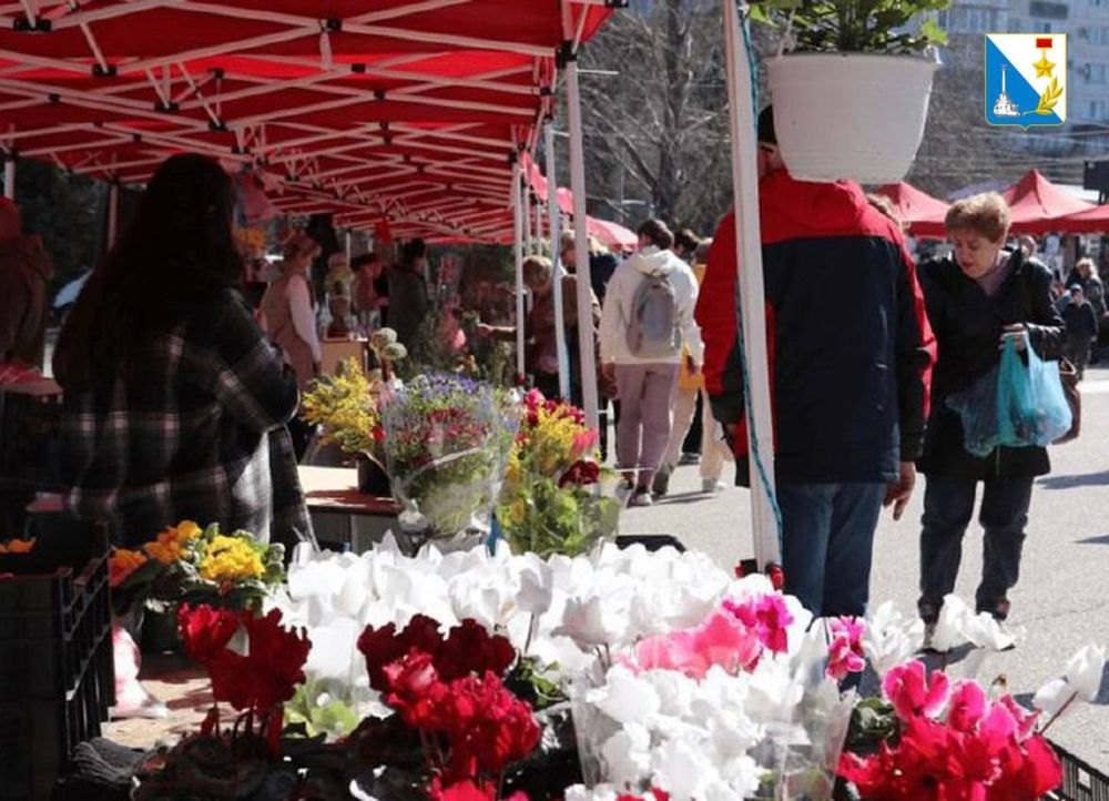 � 25 �� 27 ������ �� ������� 50-����� ���� ������� ������� �����������������