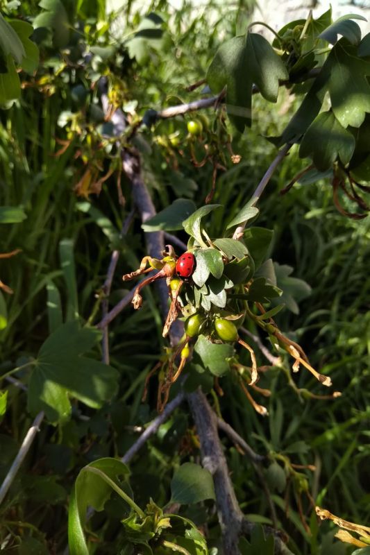 ������� ������ � ����� �� 22 ������