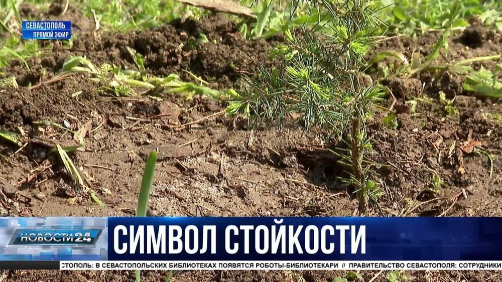 ����� 200 �������� ���������� ����� �������� ���������� ����� ������� �����������