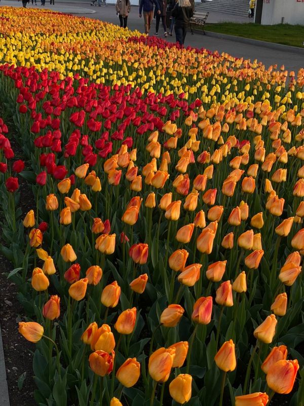 � ����������� ���������� ����������, ��� �������