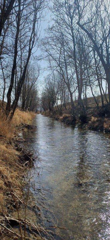 ��������������� ��������� �������� �������������� ����� ����������� ��� ������ ��, ������� (�������, �������), ���, �������-���� (������-����) � ������� � �. ���������