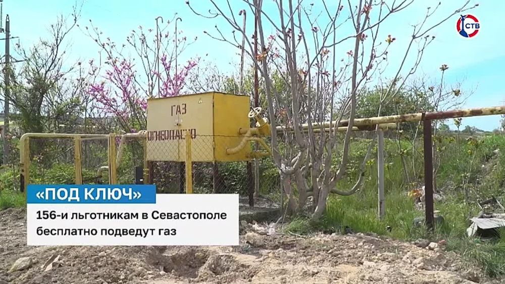 � ����������� �������� ��� 156 �������� ������� ������