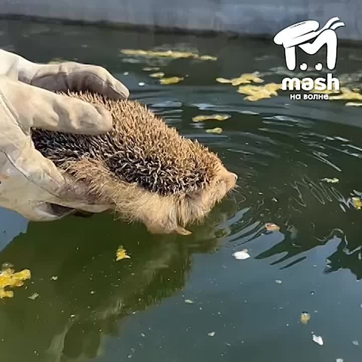 ��������! � ����������� ������ �����, ������� ������ �������� � ���