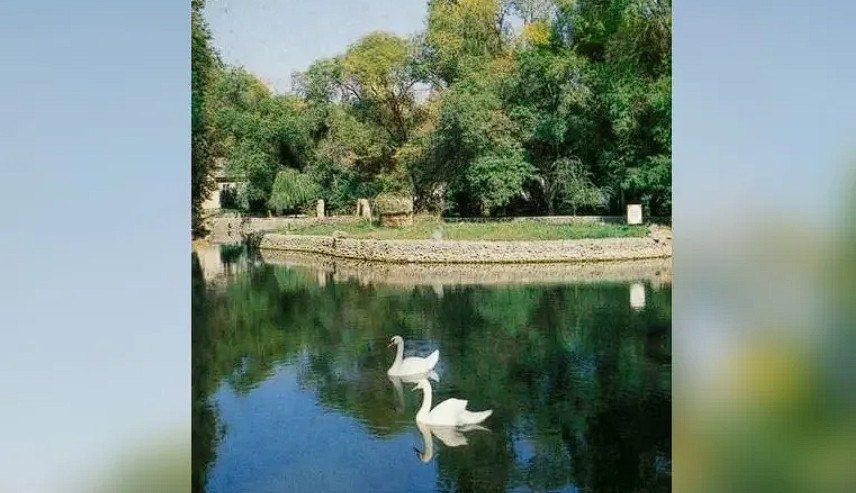 � ����� �������� �������� ���������� ����� � ������ ���� � �������� ���� � ���������