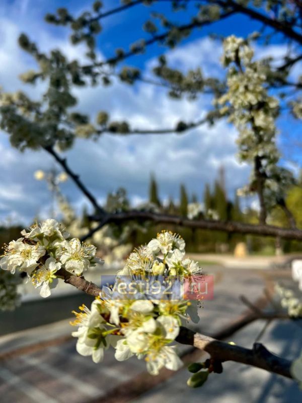 ������ ����,�����������!. ������������ ������� ������, ��-���������� �������� �������