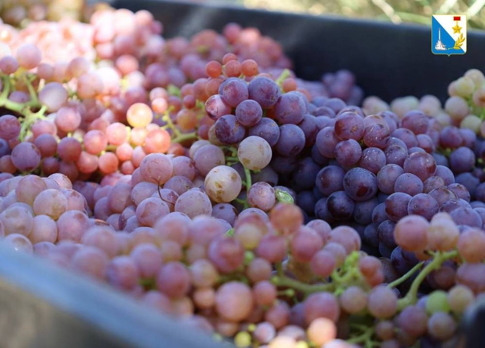 � ����������� �������� ����� ������ �� �������������� �������� ��������� �������������� � ���������