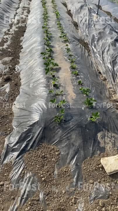 ������� �������� �� �������: � �������� ��� ����� ������ � ���������� ���������� �� ��������� �����������