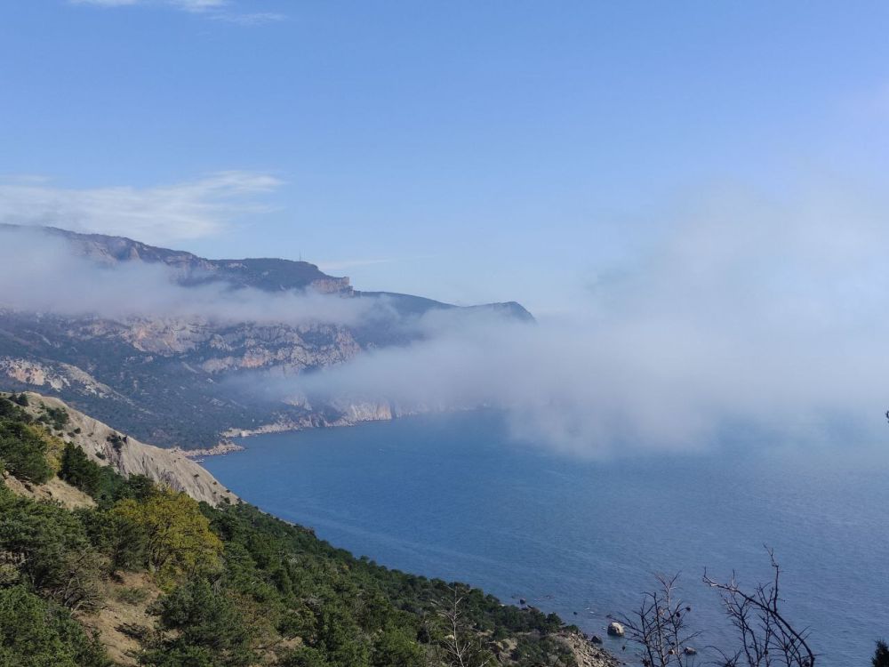 � ������ �����, �����������!