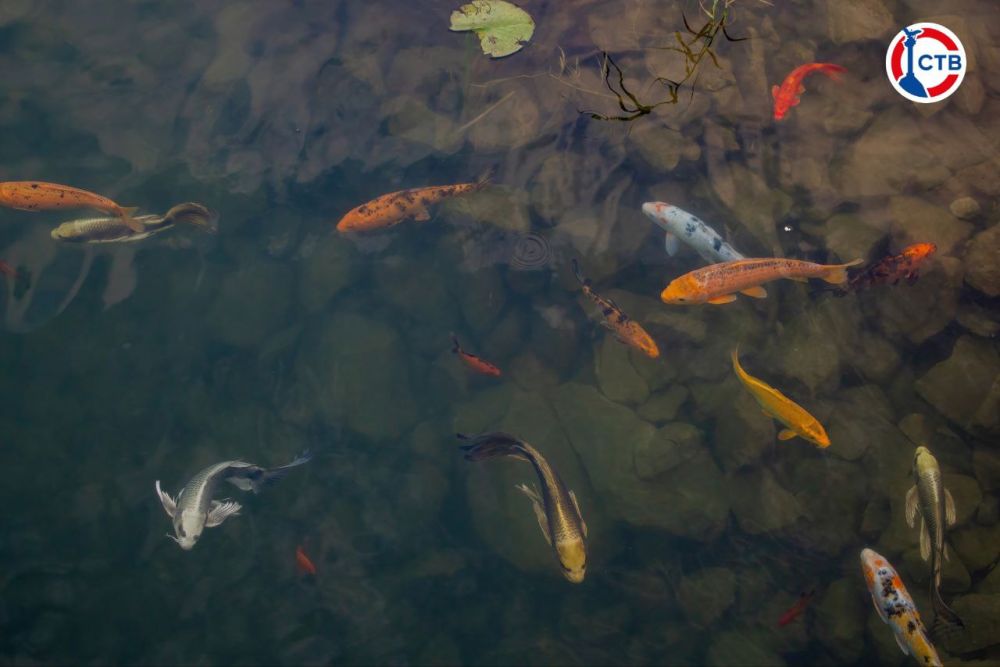 ��������� ��������� � ������ �������� ���