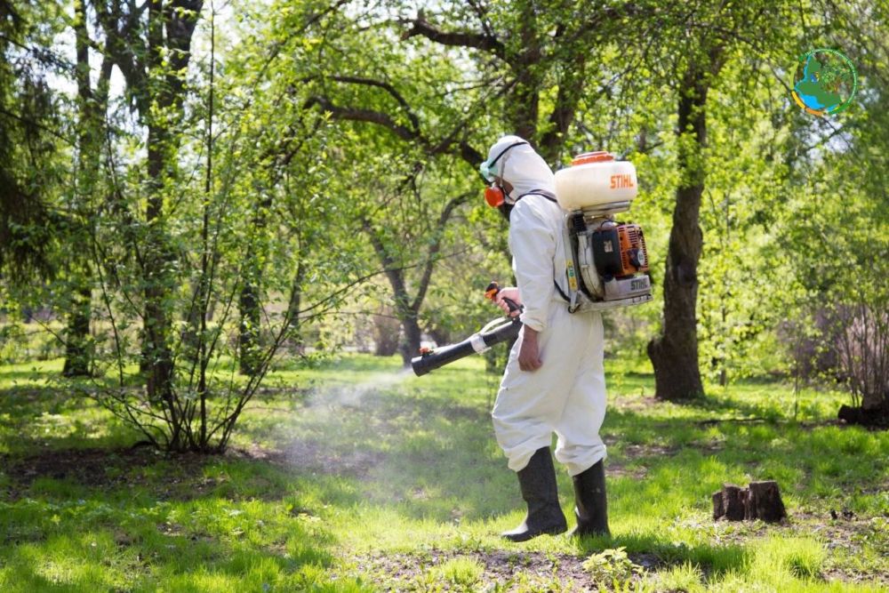 ��������� ������ � ����� ������ ������!