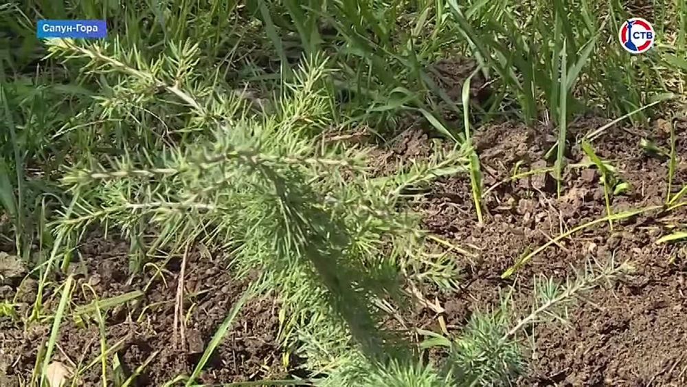 ��������� ����� ������� ����������� ������������� � ������������� ����� ���� ������