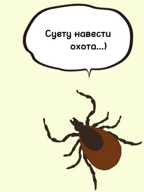 � ������ ���� ����� ������� ����� 200 ������� � �����