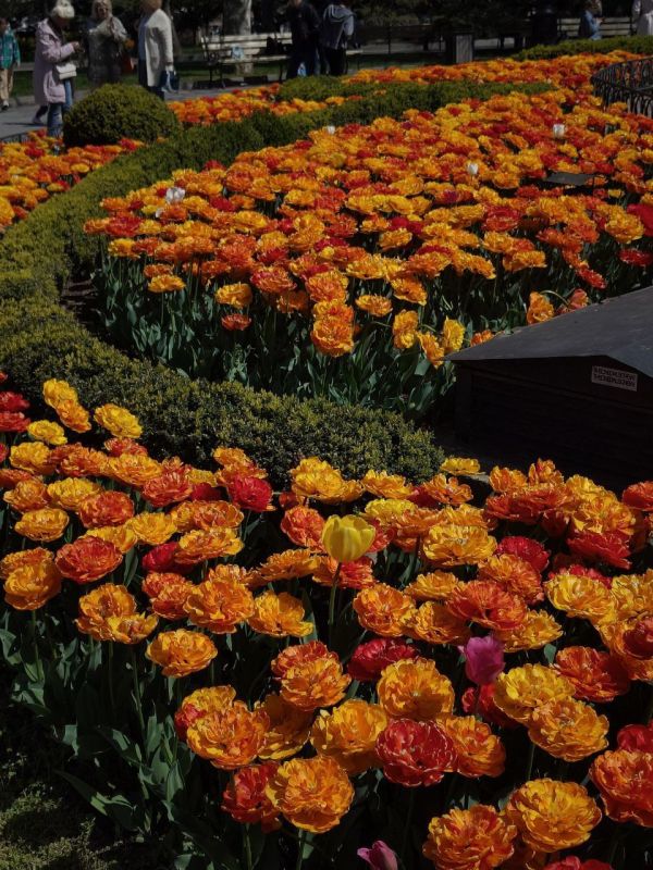 ������� ����. ���� ��� �������