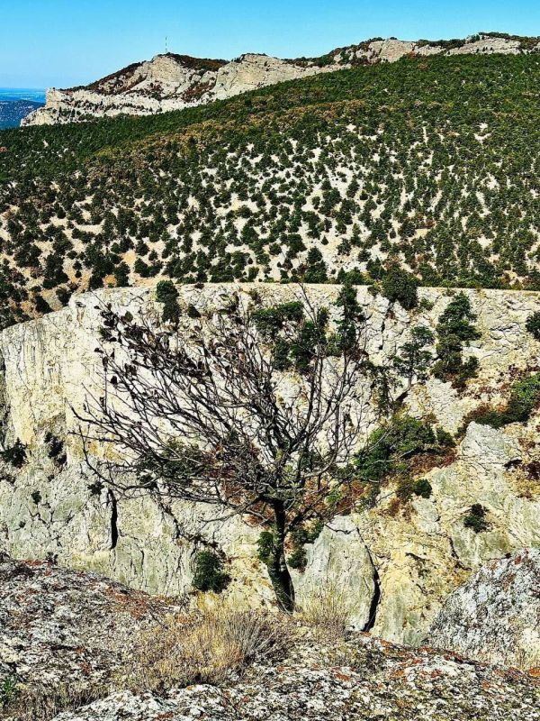 ������� ��������������� ����� ���������� 10 ������ ����������