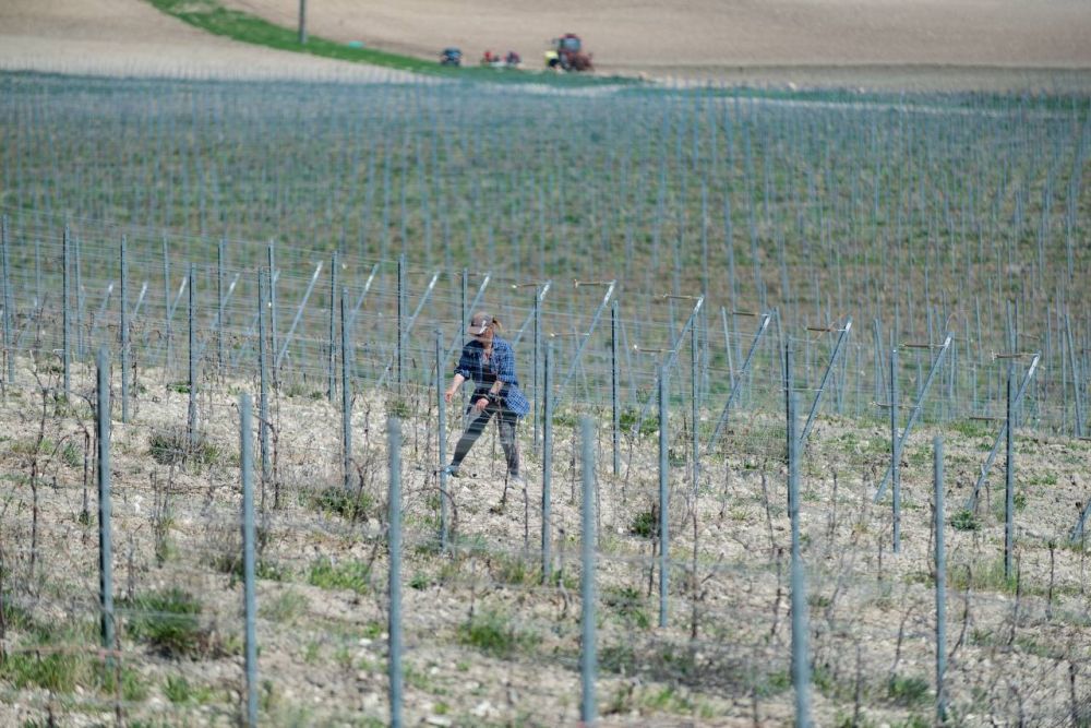 2,5 ���� ������ �������� ��������� � ������������ ����������� �� 10 ���