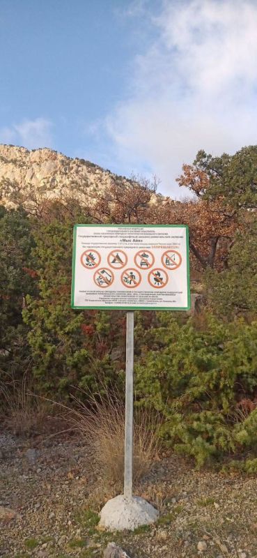 ������� ��������������� ����� ���������� 10 ������ ����������