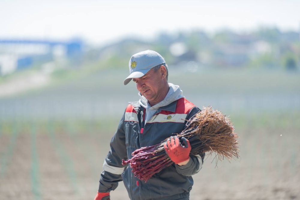 2,5 ���� ������ �������� ��������� � ������������ ����������� �� 10 ���