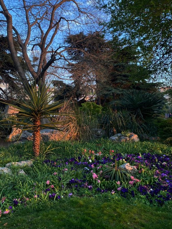 � ����������� ���������� ����������, ��� ������������ �������