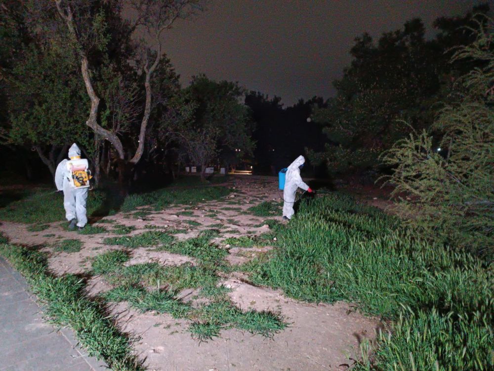 �������� ����������� ��������� ������� ���������� �� ������