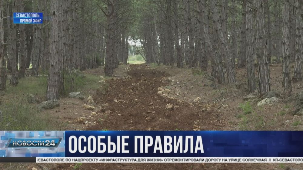 ���������� ��� � ���������������� ����������� �������� ���������� � ������� ������� �� ��������������� ����