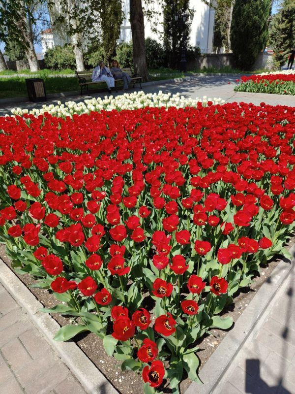 ������� ����. ���� ��� �������