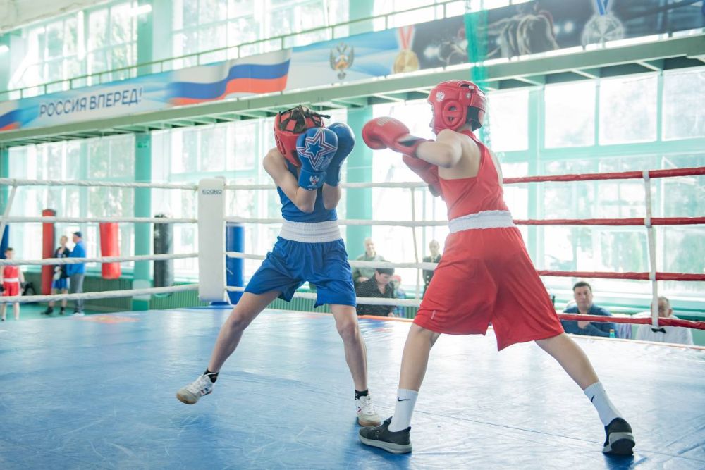 ������ ����������: ������� ��������������� ���������� ������������� ������� �� ����� ������������� ����!