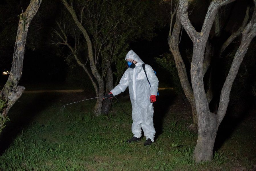 � ������ �������� ��������� ������ ��� �� ������