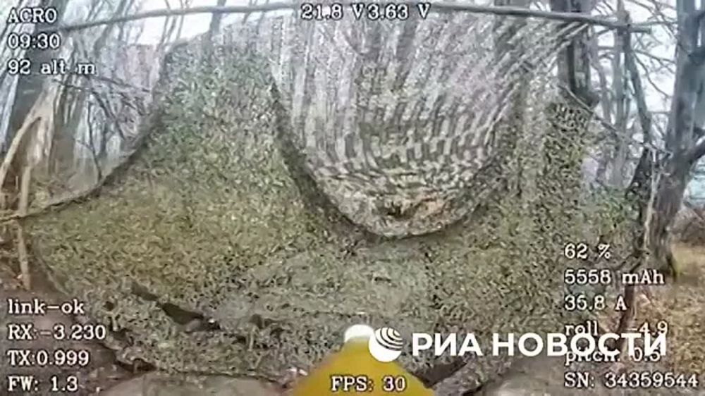 ������� 810-� ������� ��������� ��� � �������� ������� � ������ ����������� ������ ������� � ������� �������, �������� � ����������