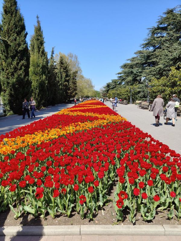 ������� ����. ���� ��� �������