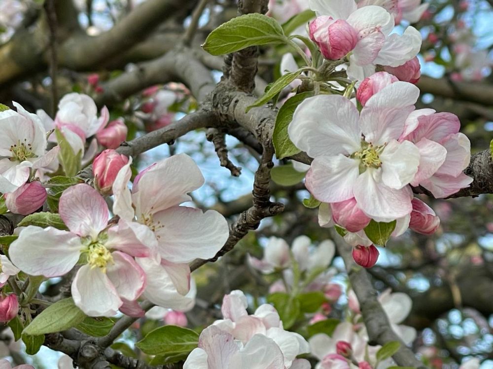 ������� ������ � ����� �� 23 ������