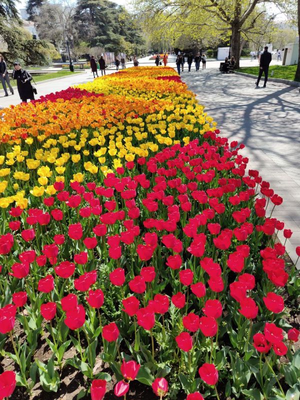 ������� ����. ���� ��� �������