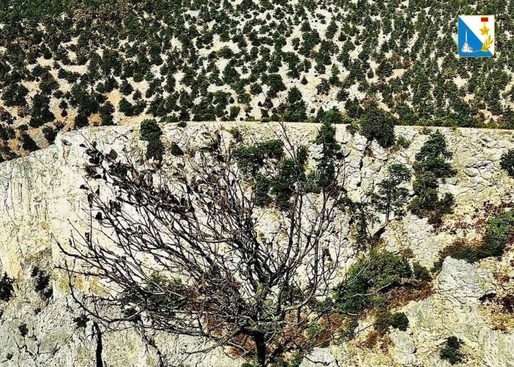 �� ��������� ����������� ����������� ������� ���������� ����������� ��������� �������� � �������� ������ � ����������������� ������������ � �������� �������� ������� ��������� ��������� ����� � �������� ���������