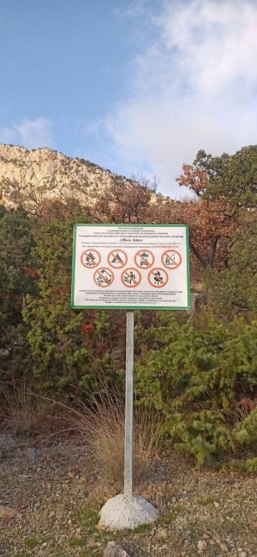 �������� ������������ ��������� ������� ��������������� �����