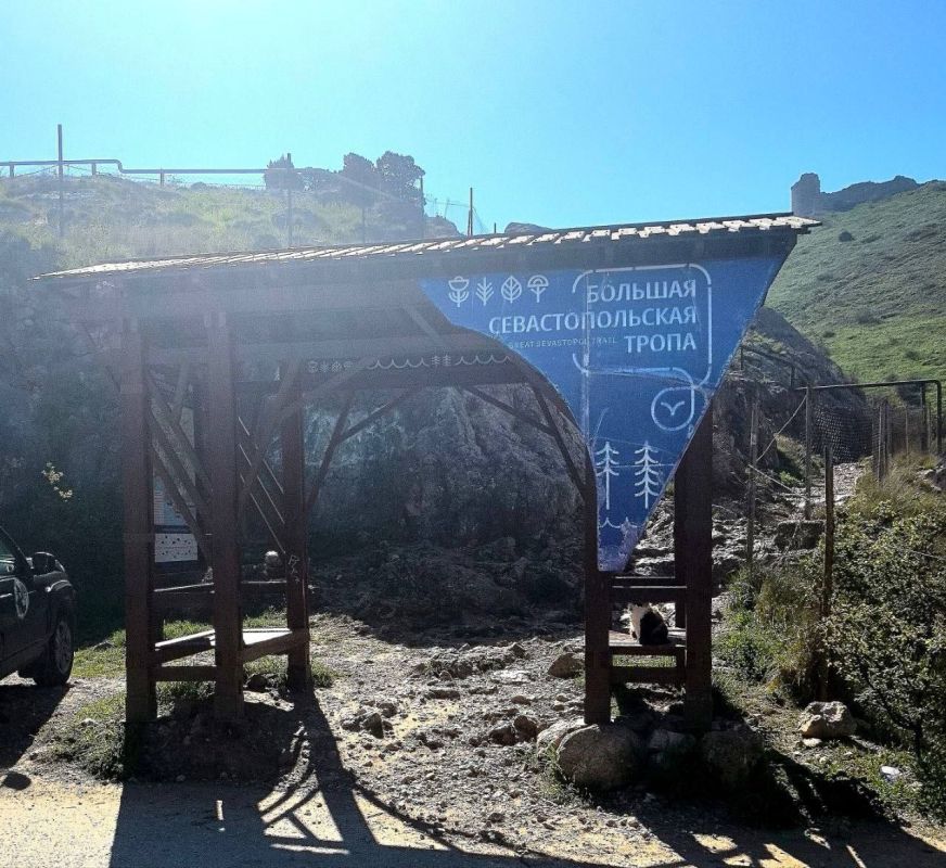 �������� ������������ ��������� ������� ��������������� �����